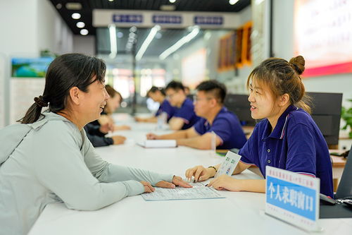 唐山零工市場 激活靈活就業新引擎，職業中介服務賦能勞動力市場
