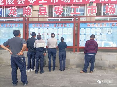 龍陵 多維度促進(jìn)就業(yè)創(chuàng)業(yè)，高質(zhì)量托穩(wěn)民生幸福——職業(yè)中介服務(wù)的核心角色與創(chuàng)新實(shí)踐